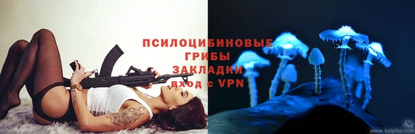тгк Алексин
