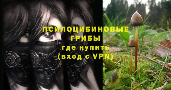 тгк Алексин