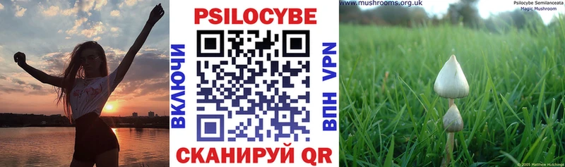 Галлюциногенные грибы Psilocybe Алупка